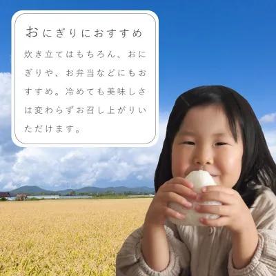 特Aランク 北海道米ななつぼし(無洗米)5kg