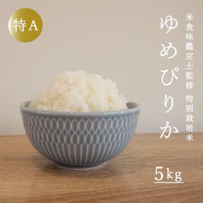 特別栽培米ゆめぴりか5kg　定期便