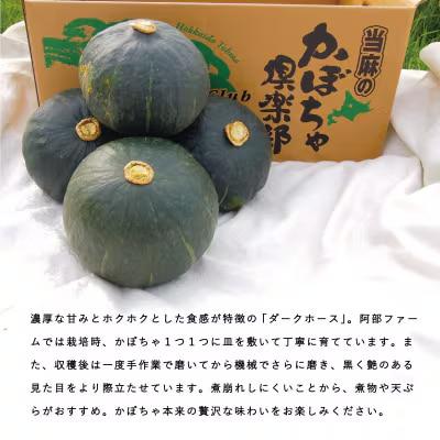 かぼちゃ10kg阿部ファーム産ダークホース【AE-001】