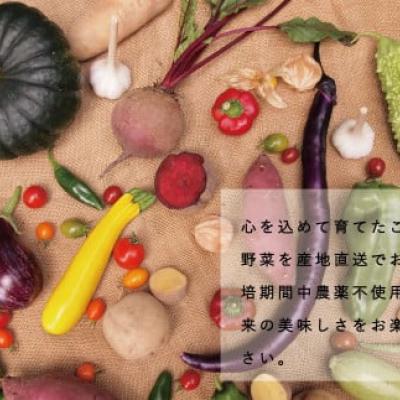 相馬ファーム季節の野菜詰め合わせ【AH-001】