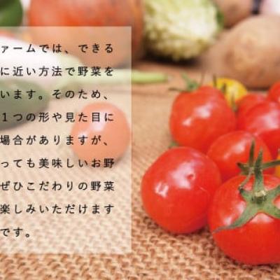 相馬ファーム季節の野菜詰め合わせ【AH-001】