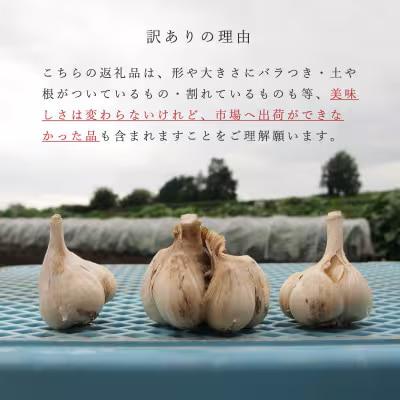 訳ありニンニク【AK-009】