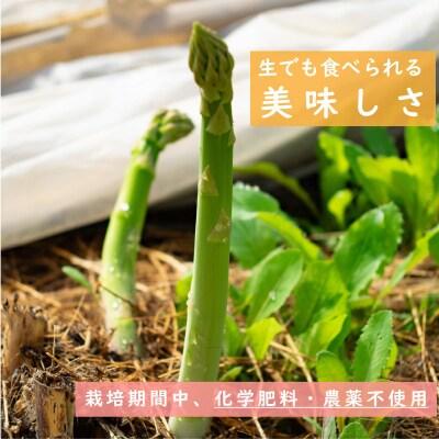 北海道産アスパラガス【AO-002】