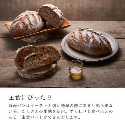 大きな 酵母パン 冷凍発送 凜香スペシャル 2個 【E-005】