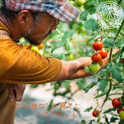 のんの畑北海道トマトジュース「たいせつなトマト」【G-001】