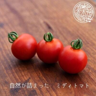のんの畑北海道 ミディトマト【G-002】