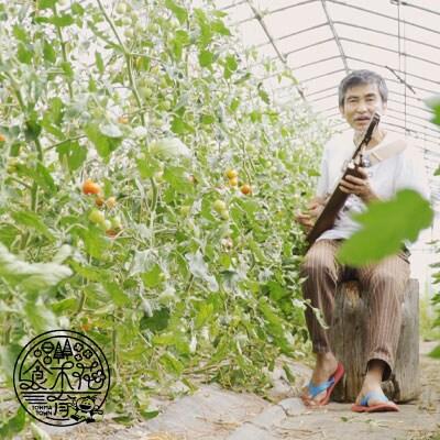 のんの畑北海道 トンコリトマト【G-005】