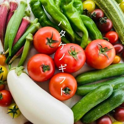 高橋農園ハタケノギフト【O-001】