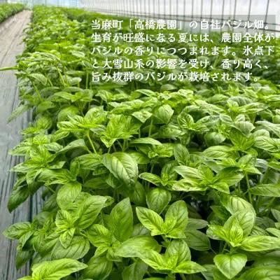 〈のし対応可〉ドレッシング 万能バジル・バジル&チーズ 各1本セット【O-008】