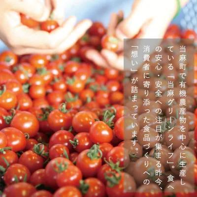 有機トマトソース【T-005】