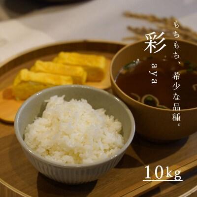 長谷川農園彩10kg 北海道米